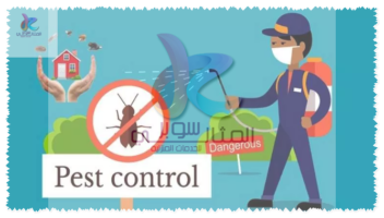 شركة مكافحة حشرات بنجران 0550171619 بضمان المثالي سوبر لاابادة جميع الحشرات بنجران