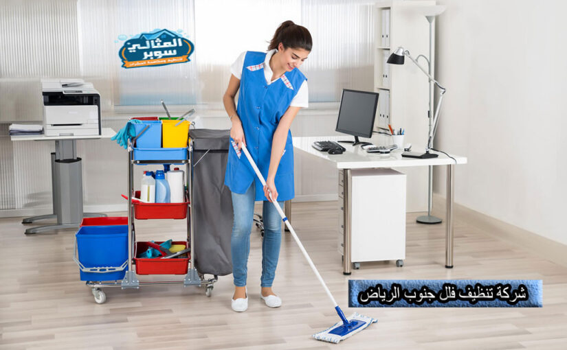 أفضل شركة تنظيف فلل جنوب الرياض