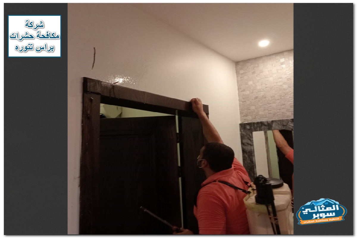 شركة مكافحة حشرات براس تنوره