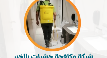 شركة مكافحة حشرات بالخبر