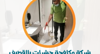 شركة مكافحة حشرات بالقطيف