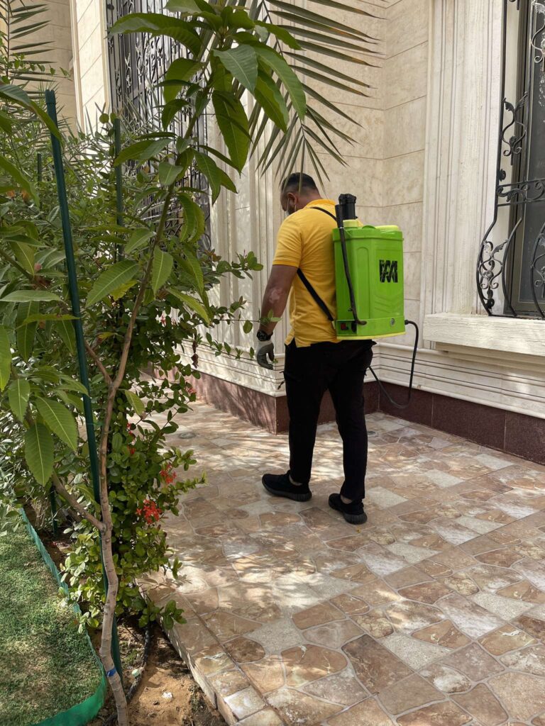 شركة مكافحة حشرات بالاحساء