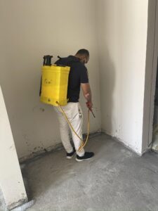 شركة مكافحة الحشرات بالجبيل