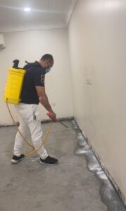 شركة مكافحة حشرات بالجبيل