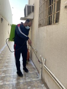 شركة مكافحة حشرات بنجران