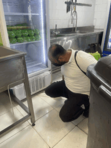 شركة مكافحة حشرات بينبع البحر شركة مكافحة حشرات بينبع البحر